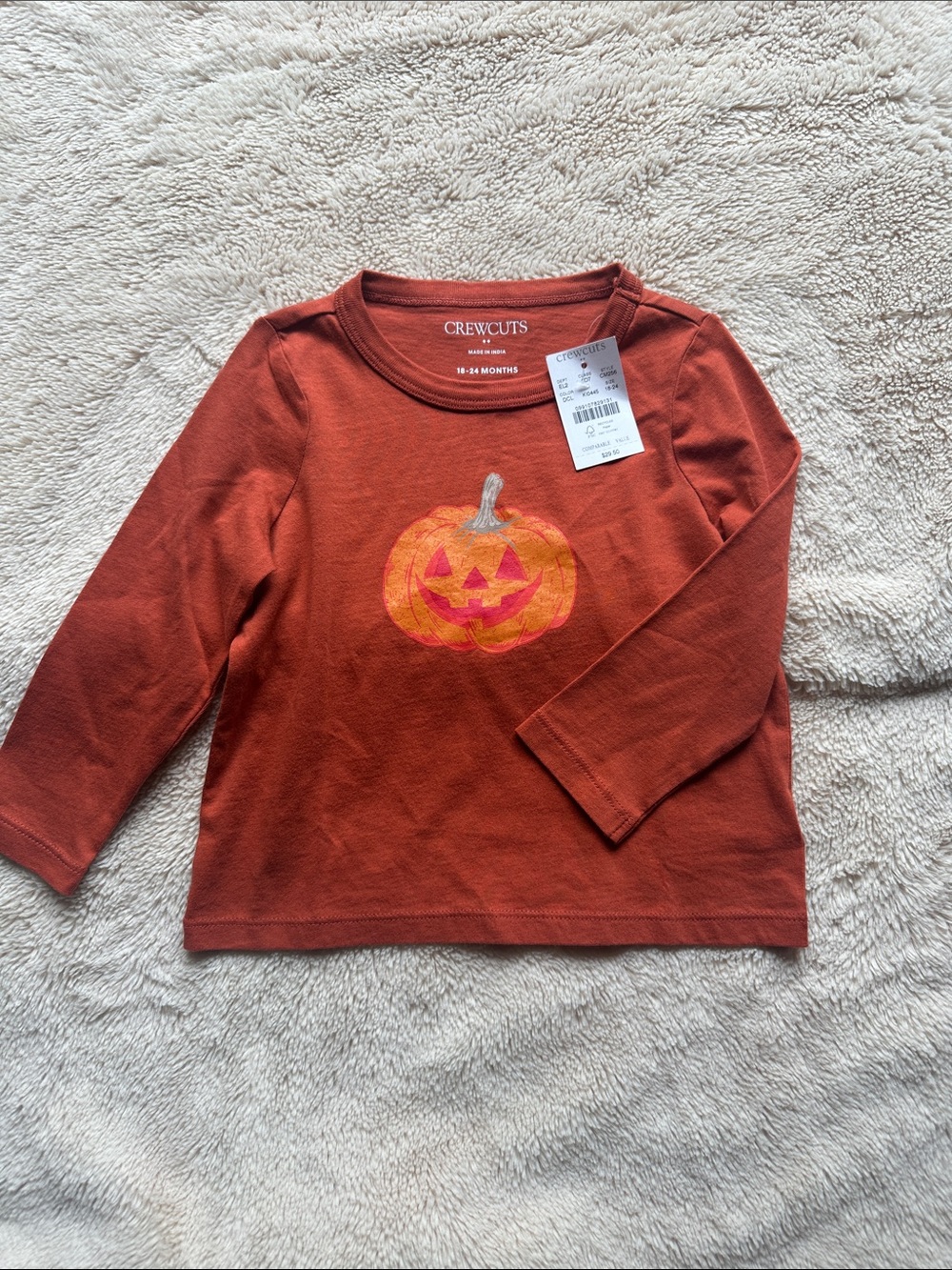 Crewcuts Rust Orange Pumpkin Graphic Long-Sleeve Tee
